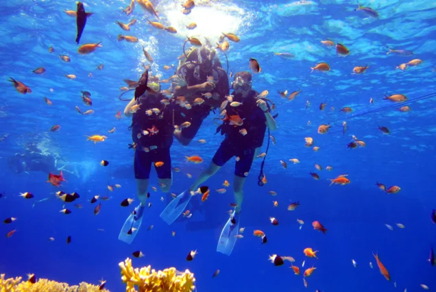 Intro Diving From Shore In Sharm El Sheikh