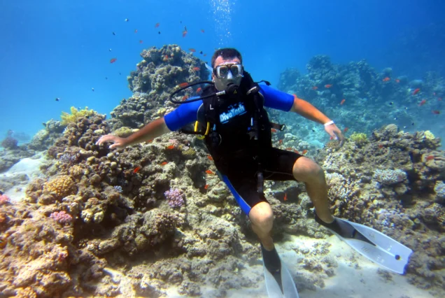 Tiran Island Boat Trip from Sharm El Sheikh – Snorkeling & Diving Adventure