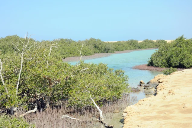 Private Day Trip to Ras Mohamed by Bus