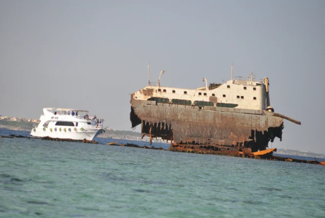 Tiran Island Boat Trip from Sharm El Sheikh