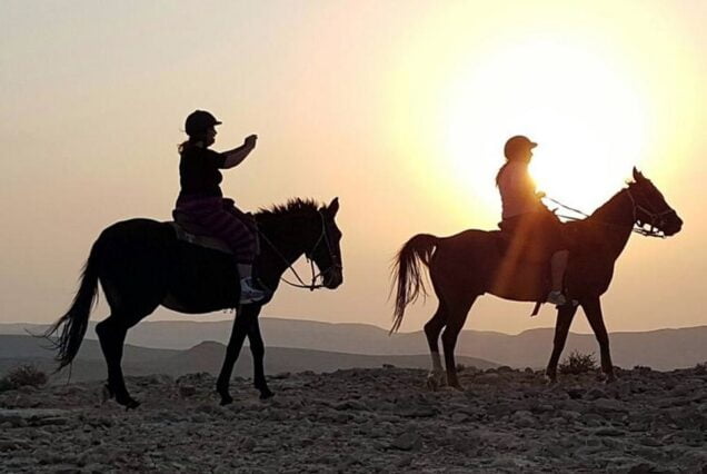 Horse Riding In Desert Sharm El Sheikh