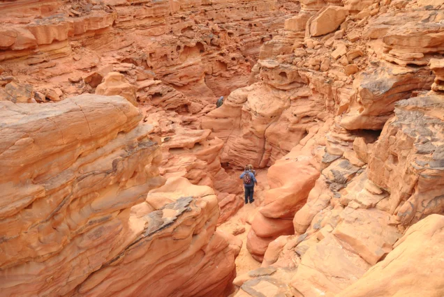 Colored Canyon Salama Excursions