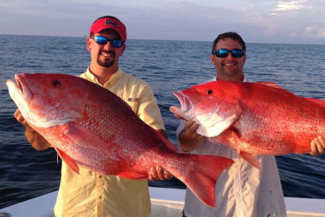Private Fishing Tour in Dahab from Sharm El Sheikh